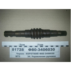Червяк рулевого управления (короткий) МТЗ-80 (пр-во БЗТДиА) - Ф80-3406030